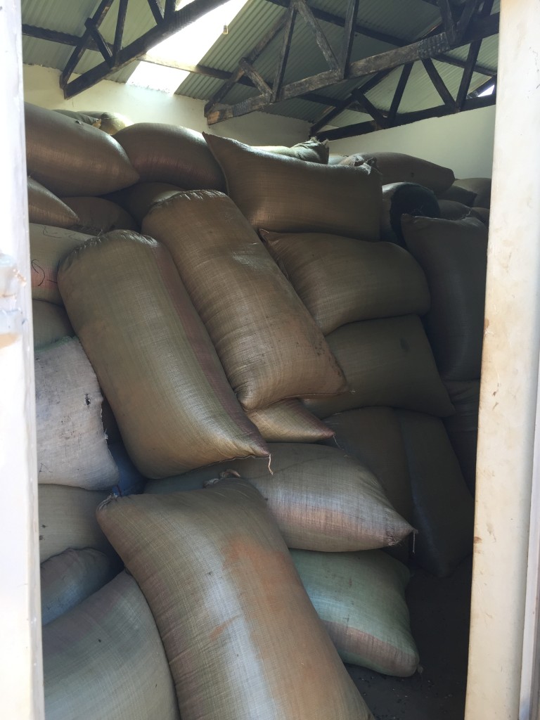 The Very Full Storage Room at the Press Full of Sacks of Sunflower Seeds