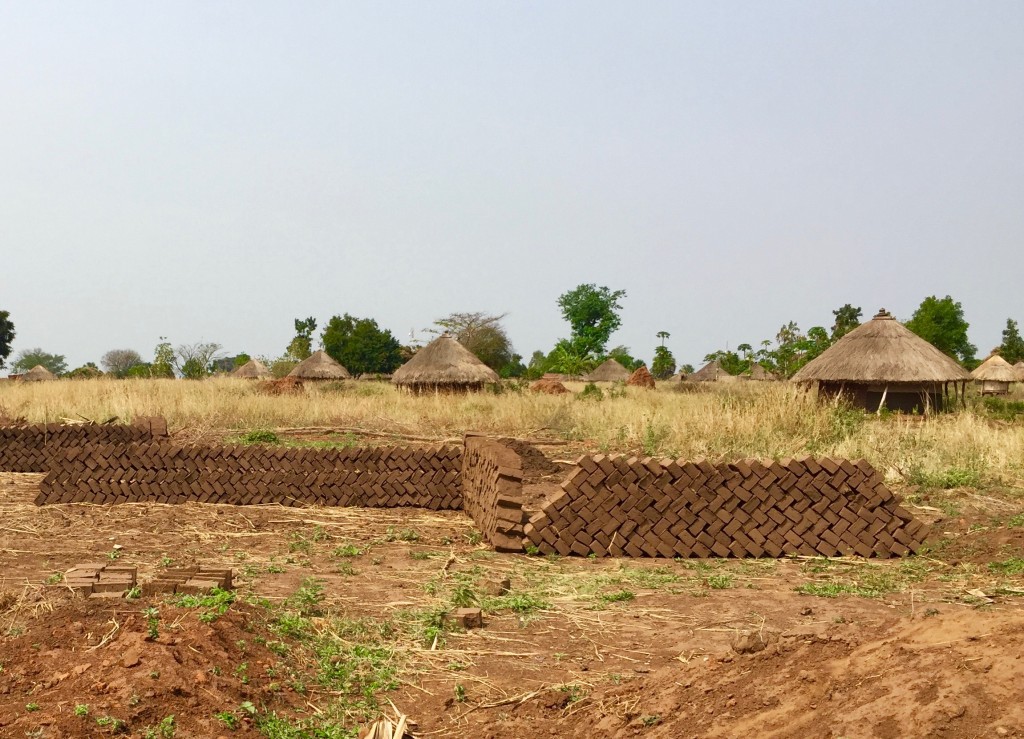 Hundreds of molded bricks laying in the sun to dry before firing. 