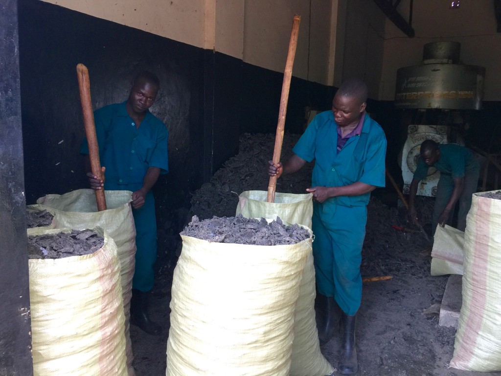 The refuse from pressing the sunflower seeds is a high protein cake which is sold for animal feed.