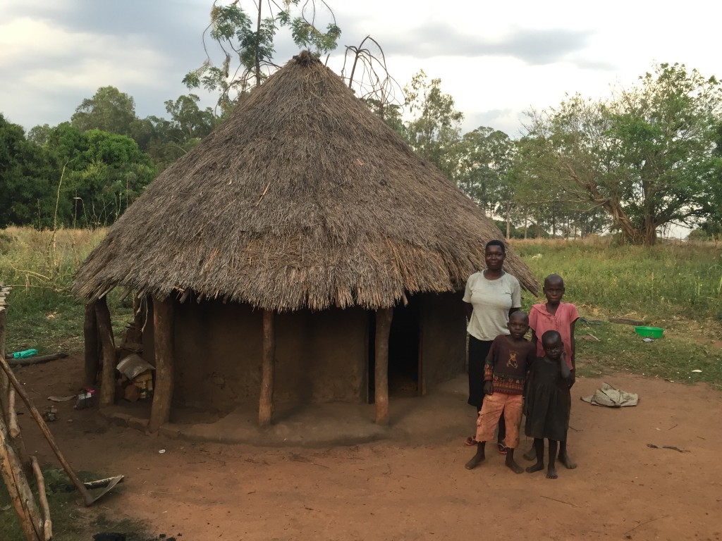 The small hut built by Professor DeAnna Leitzke and her MSOE students 2014 June. 