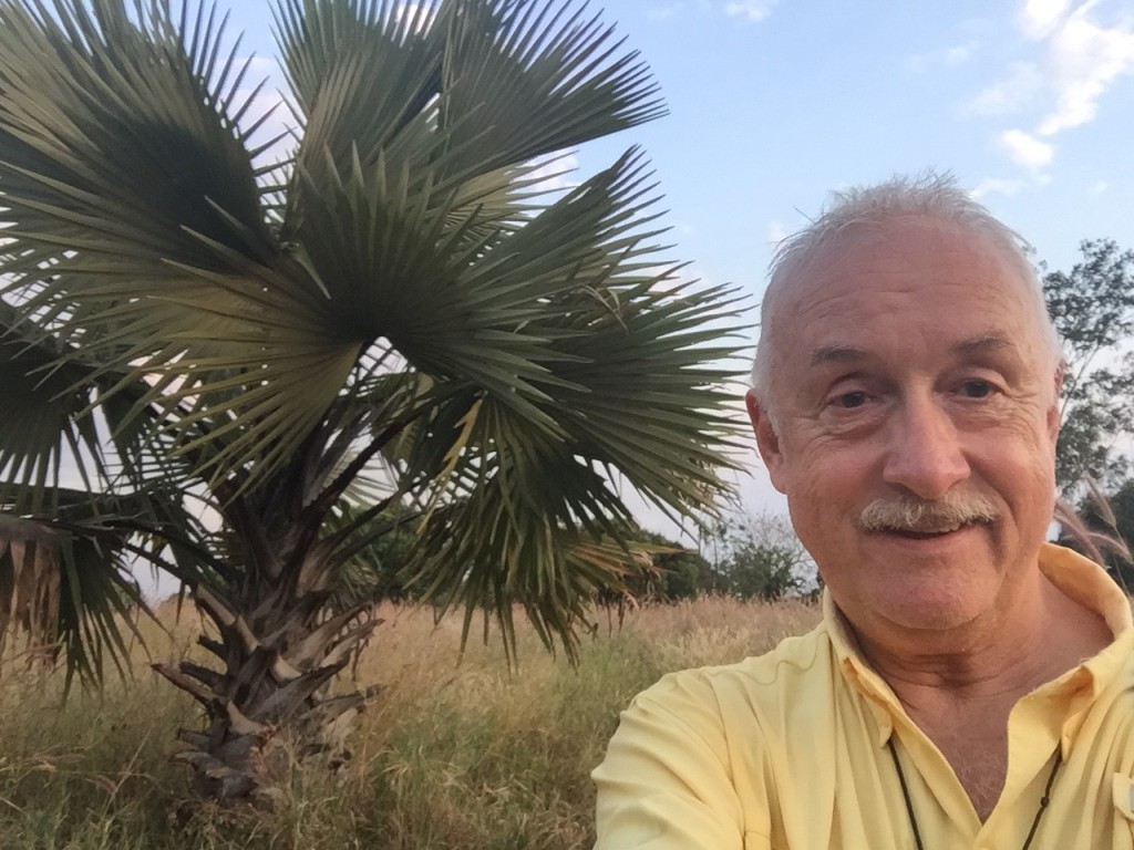 A good looking palm tree and a tired OLDER gentleman after a long and wonderful productive and warm day. 